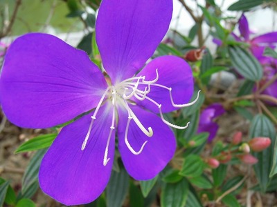 s-DSCN1420.jpg