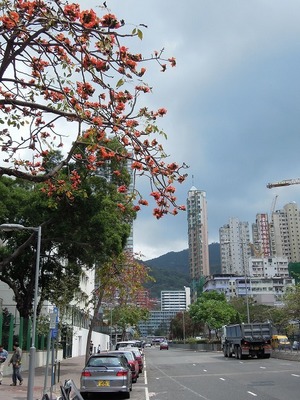 s-DSCN1433.jpg