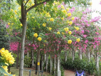 s-DSCN1436.jpg